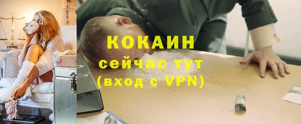 бошки Богородицк