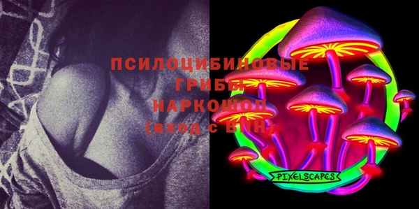 бошки Богородицк