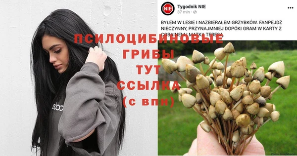 мяу мяу мука Тавда